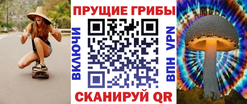 хочу   omg ссылка  Псилоцибиновые грибы GOLDEN TEACHER  Мегион 